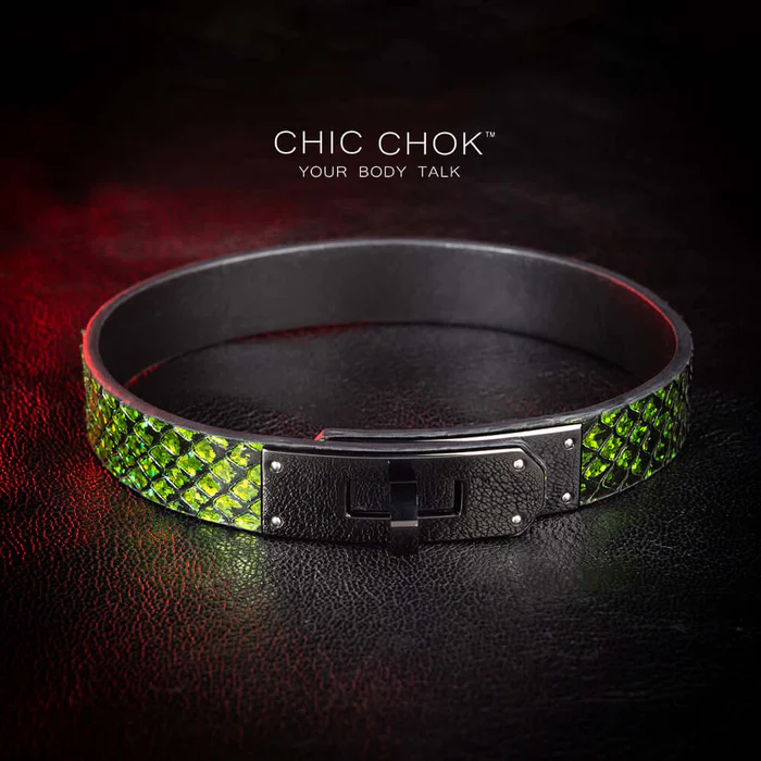 Elevate Your Style with the ChicChok Green-Scaled Collar: A Bold Fusion of Color and Versatility