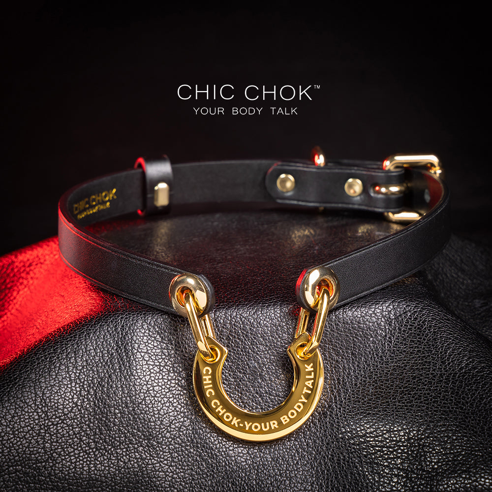 CHICCHOK [Classic C] Classic Horseshoe Pendant Fashion Daily Adjustable Choker