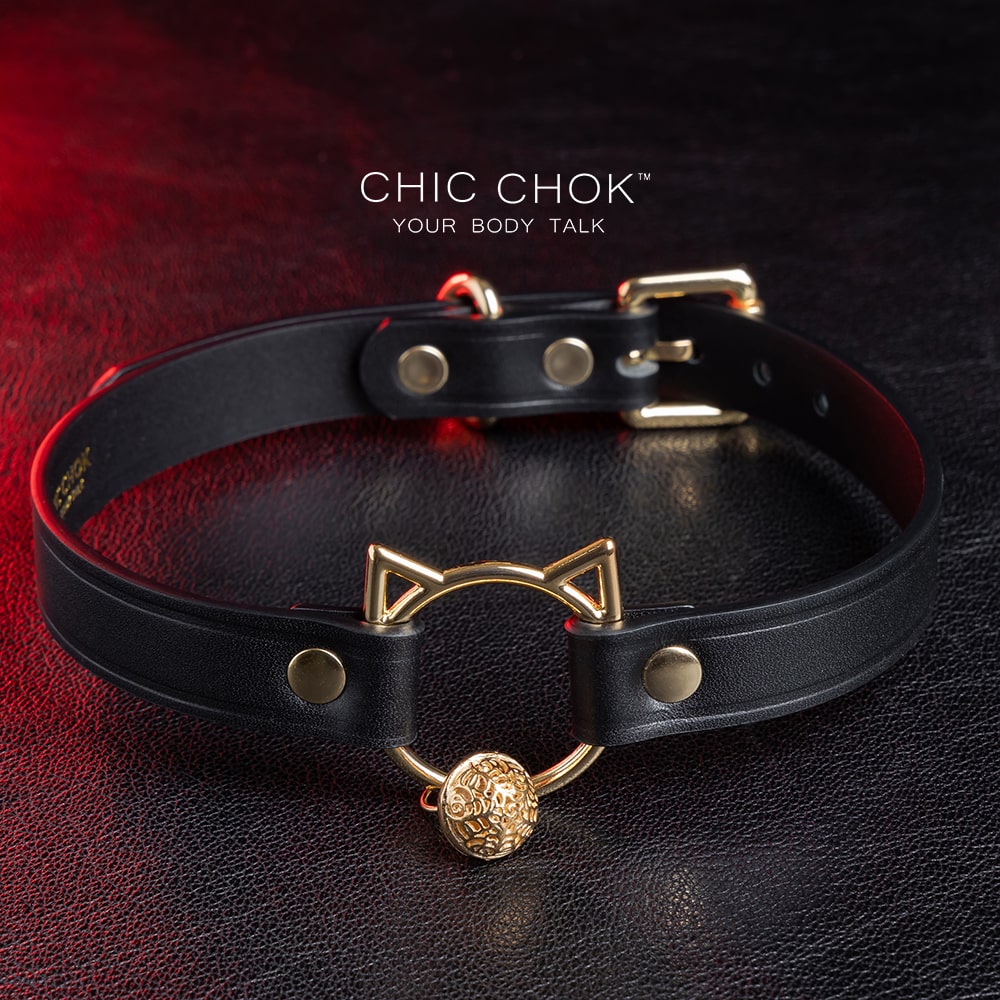 Black and gold cat cheap collar